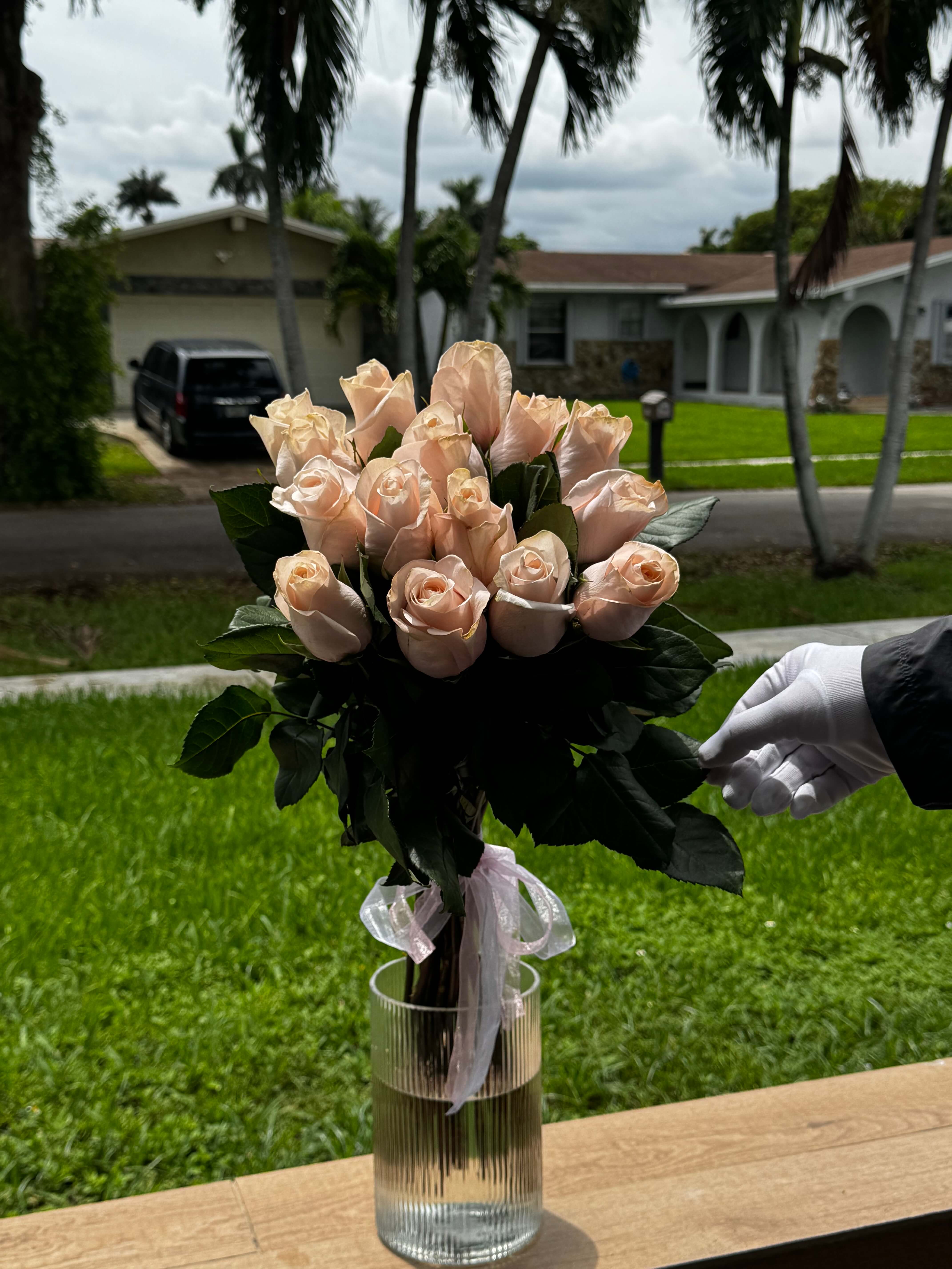 1 Dozen Pink Roses 