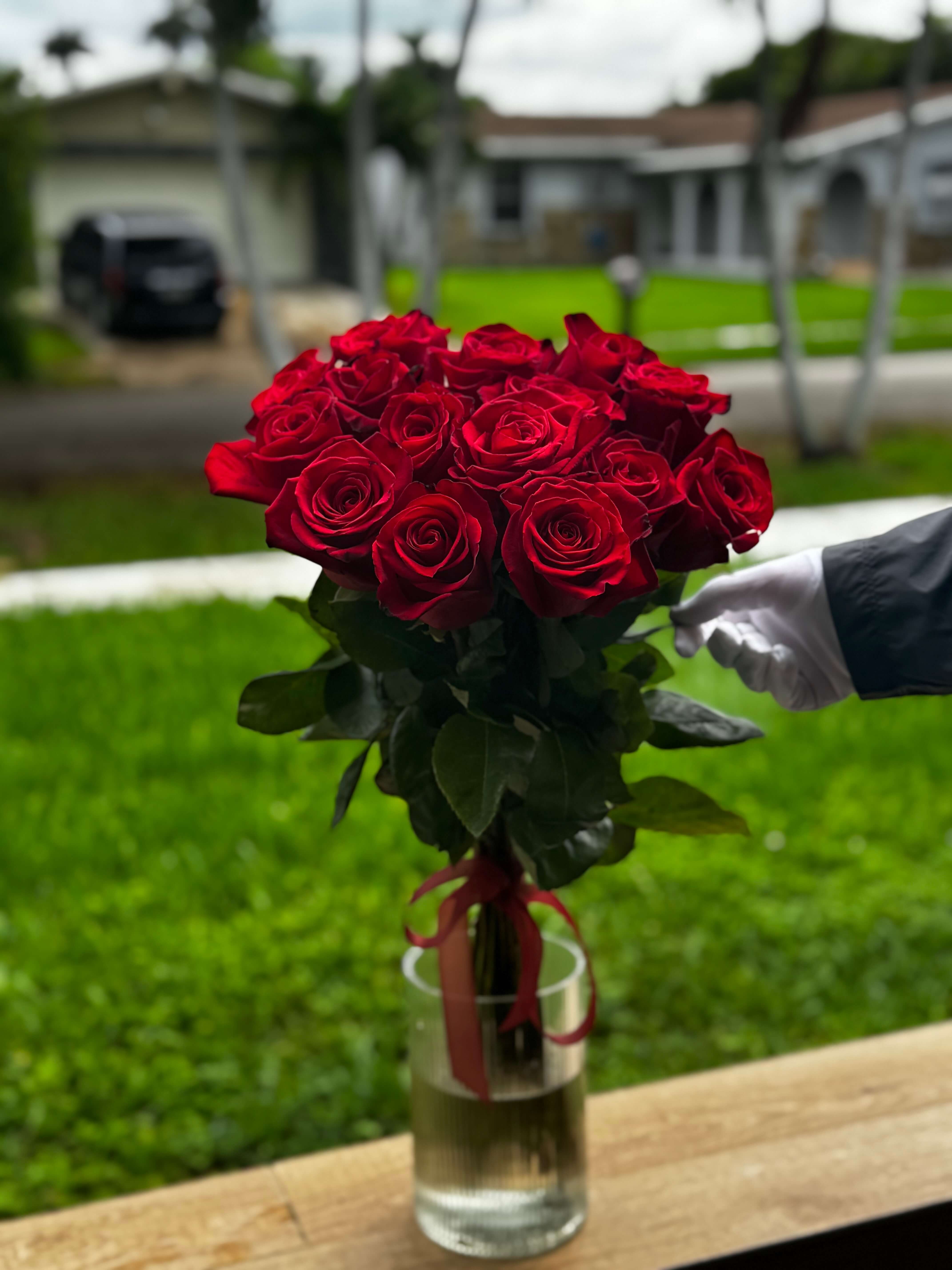 1 Dozen Red Roses 