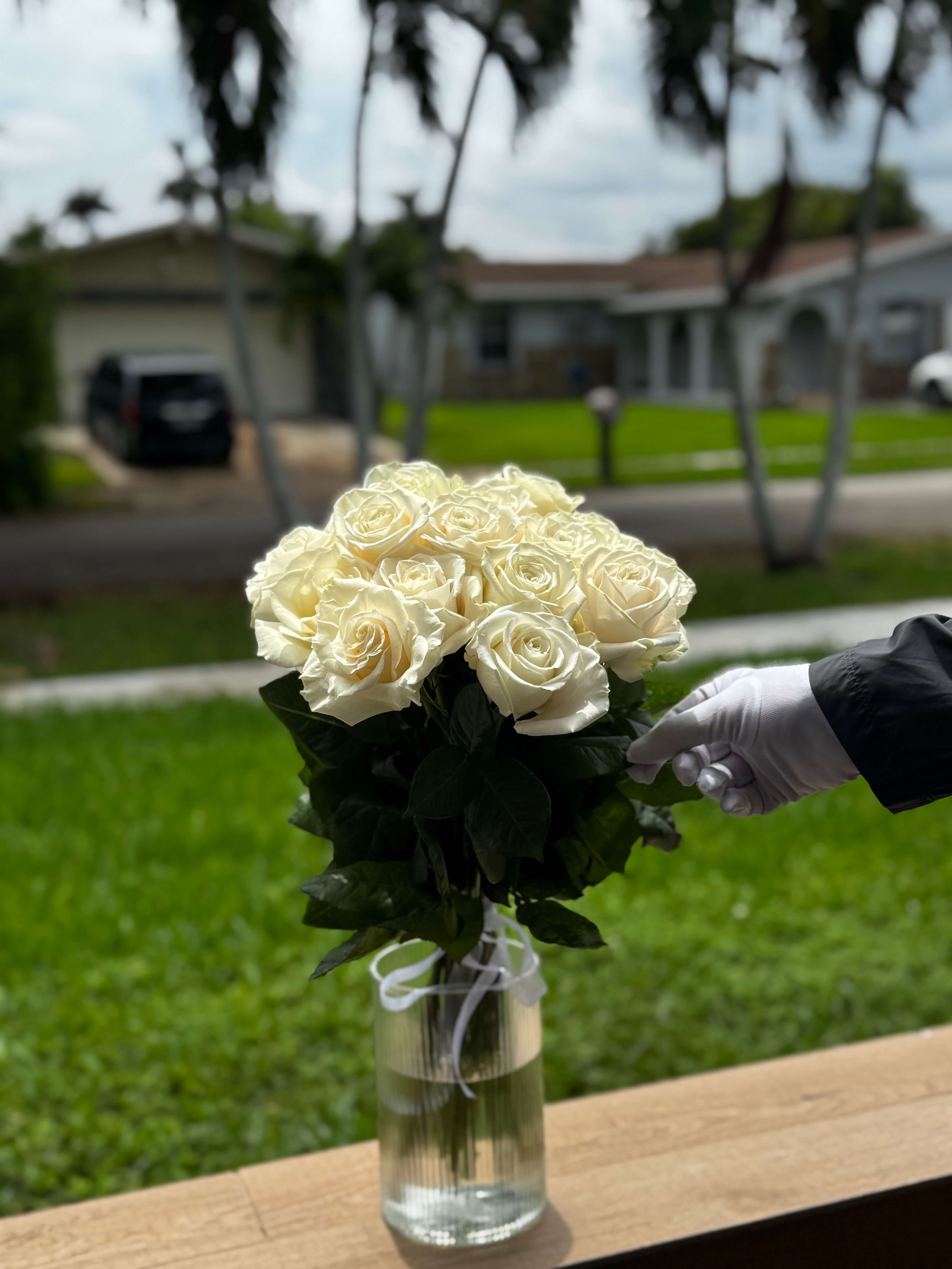 1 Dozen White Roses 