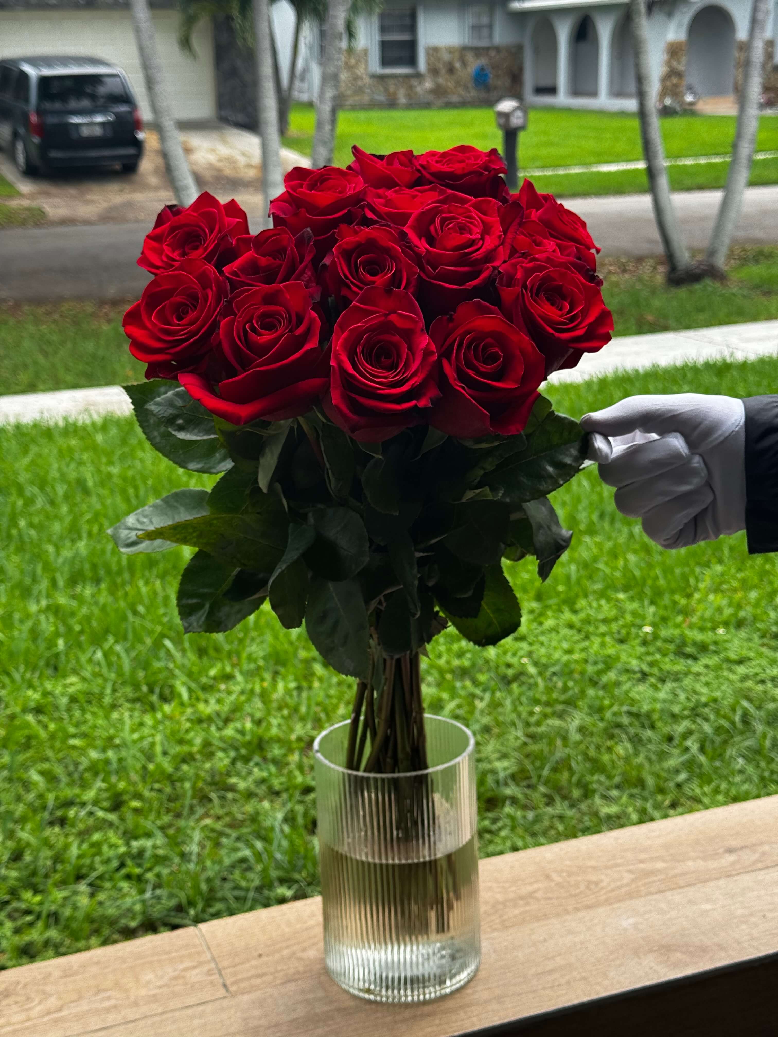 15 Red Roses 