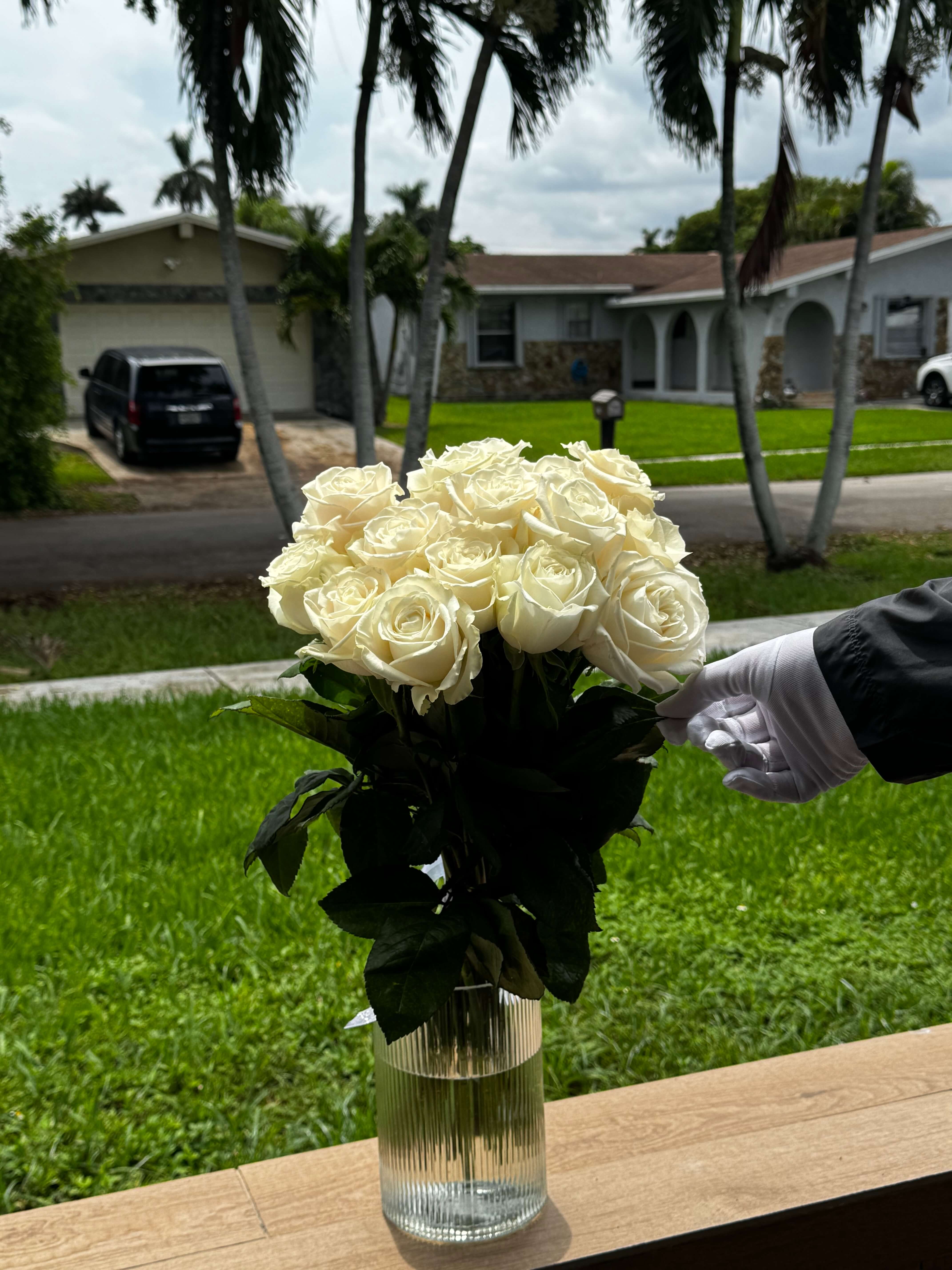 15 White Roses 