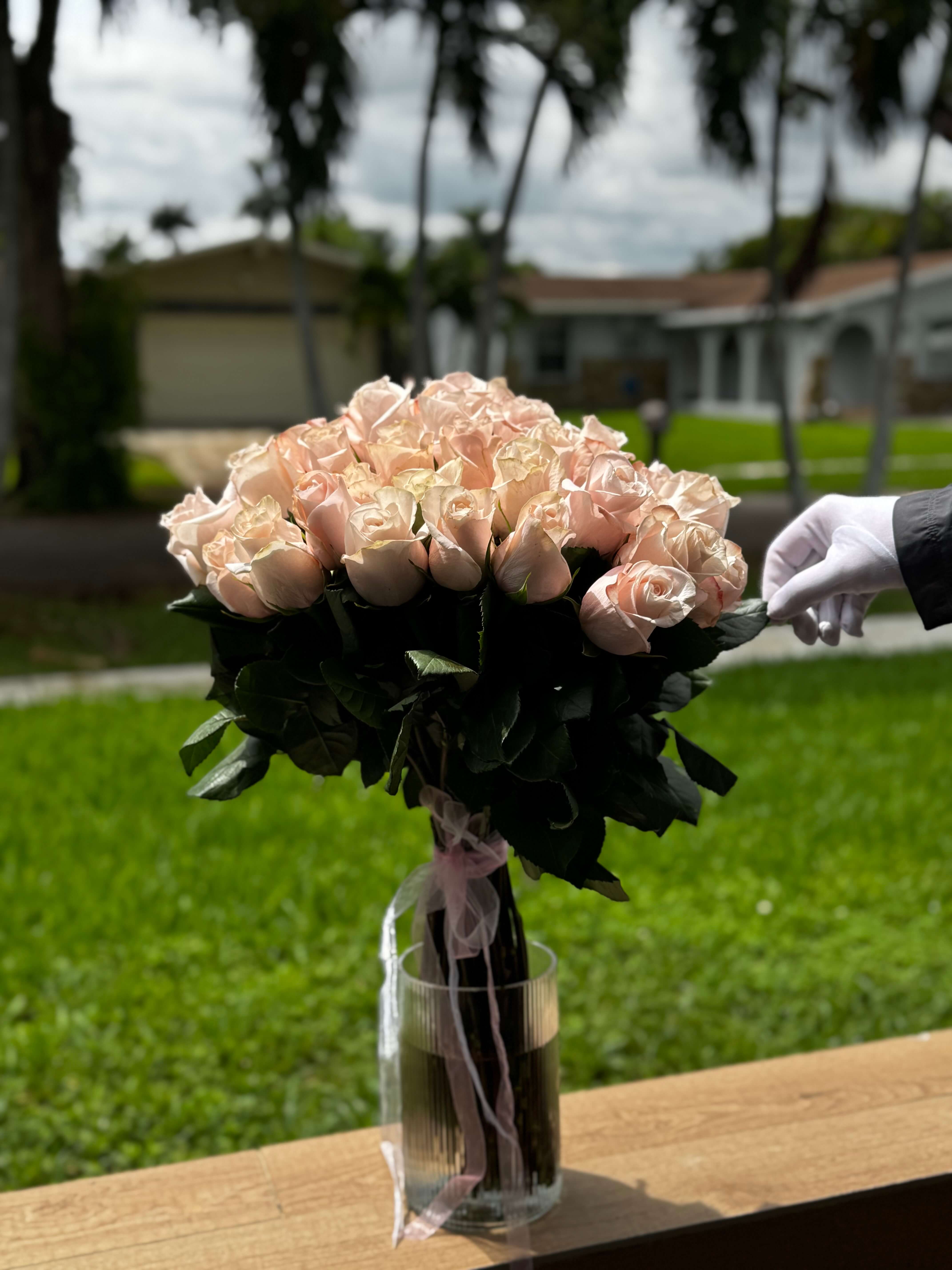 25 Pink Roses 
