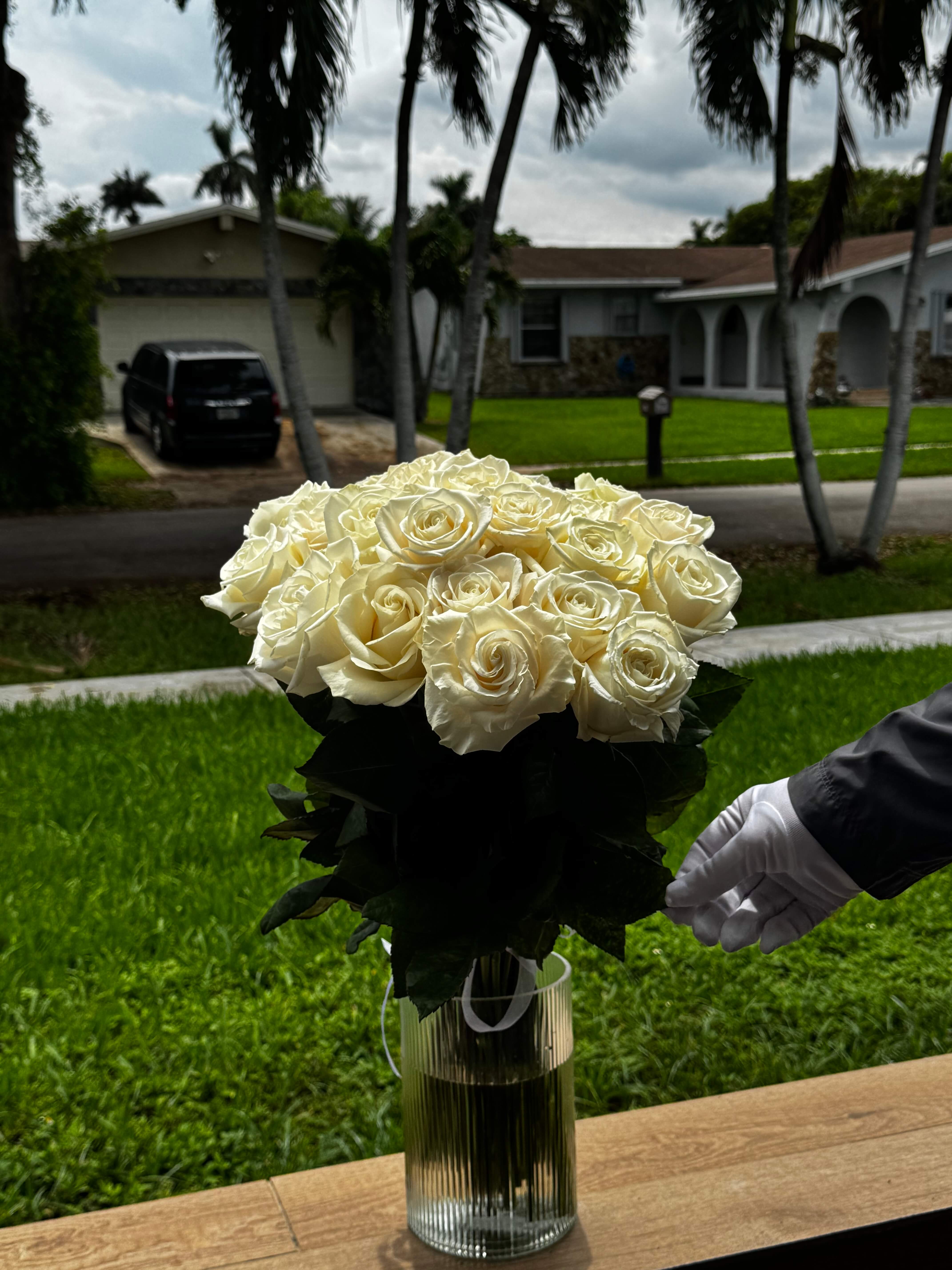 25 White Roses 