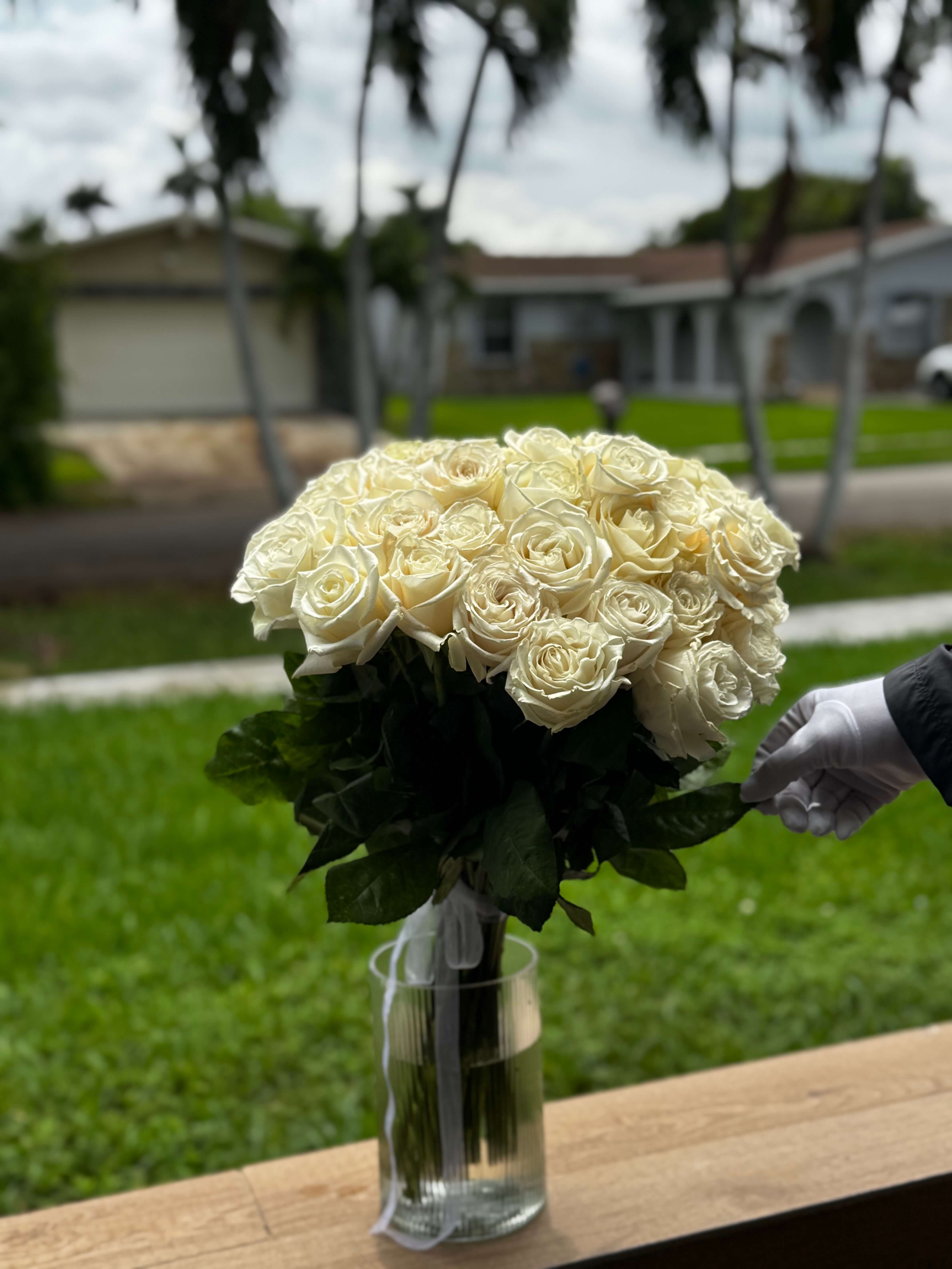 3 Dozen White Roses 