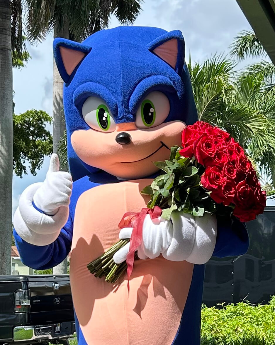 Sonic